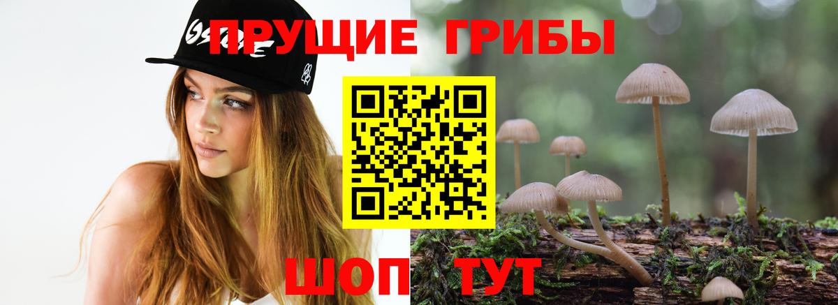 Псилоцибиновые грибы Psilocybine cubensis Тихвин